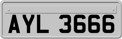 AYL3666