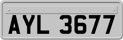 AYL3677