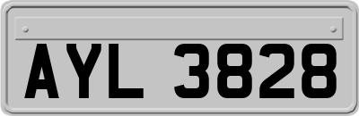 AYL3828