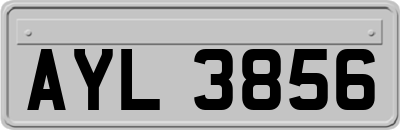 AYL3856