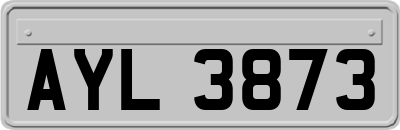 AYL3873