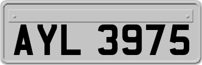 AYL3975