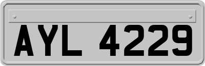 AYL4229