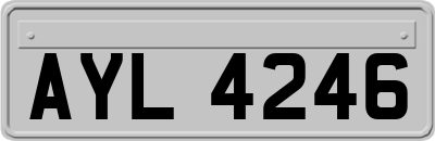 AYL4246