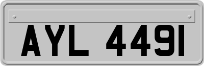 AYL4491