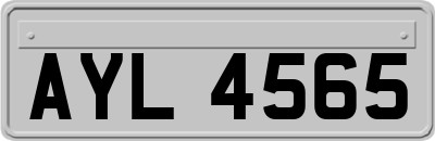 AYL4565