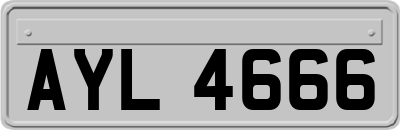 AYL4666