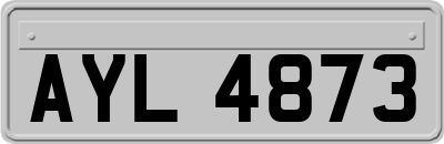 AYL4873