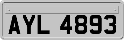 AYL4893