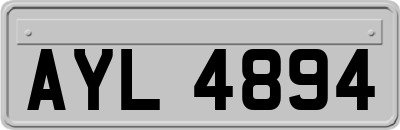 AYL4894