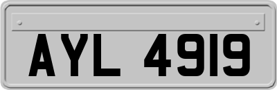 AYL4919