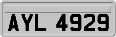 AYL4929