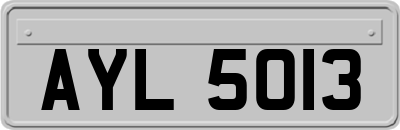 AYL5013