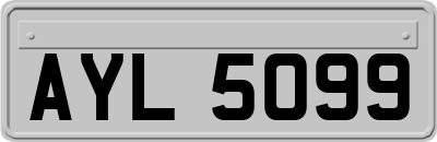 AYL5099