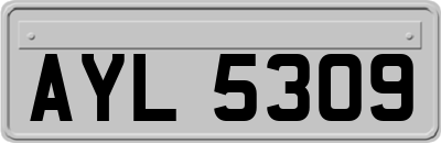 AYL5309