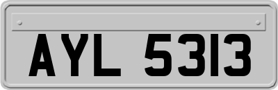 AYL5313