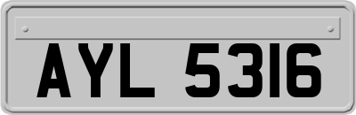 AYL5316