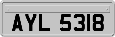 AYL5318