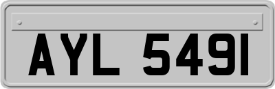 AYL5491