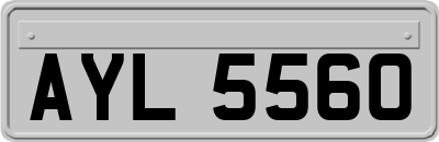 AYL5560
