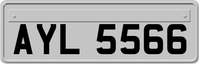AYL5566