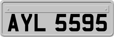 AYL5595