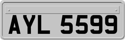 AYL5599