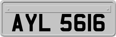 AYL5616