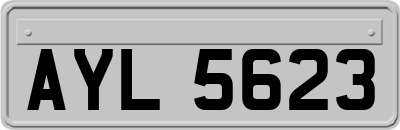 AYL5623