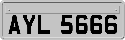 AYL5666