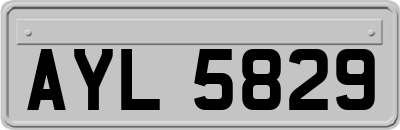 AYL5829