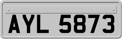 AYL5873