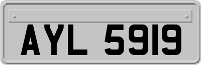 AYL5919