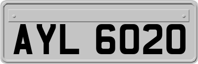 AYL6020