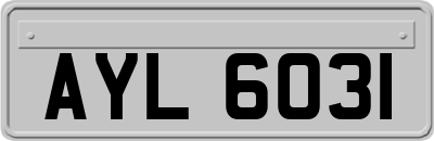 AYL6031
