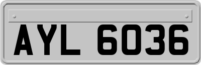 AYL6036