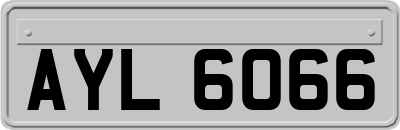 AYL6066