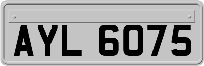 AYL6075
