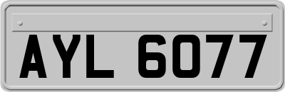 AYL6077