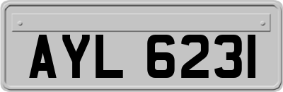 AYL6231