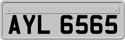 AYL6565