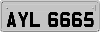 AYL6665