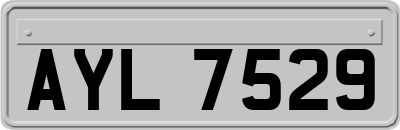 AYL7529