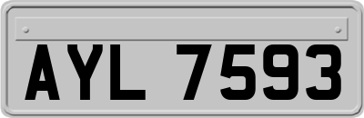 AYL7593
