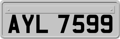 AYL7599