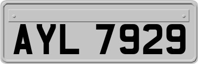 AYL7929