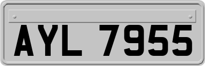 AYL7955