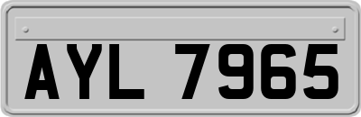AYL7965