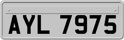 AYL7975
