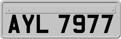 AYL7977